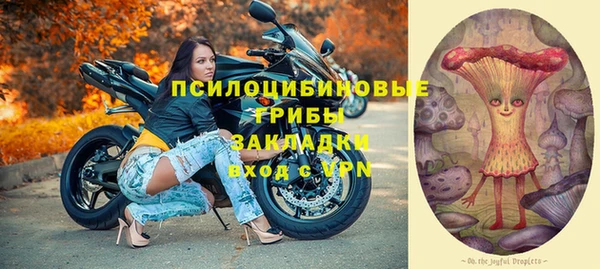 дживик Горнозаводск