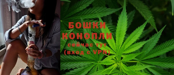 кристаллы Гусев