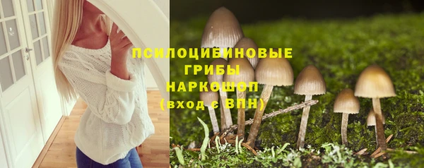 кристаллы Гусев